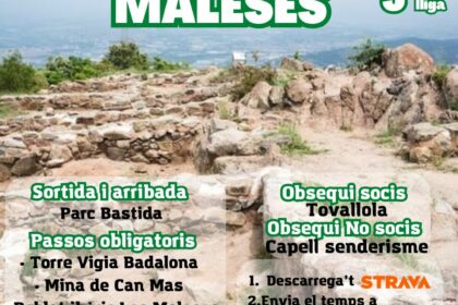Cartell Camí a les Maleses